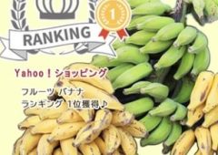 「あまさんバナナ」価格改定のお知らせ