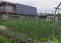 野島自然農園のブログがはじまります！