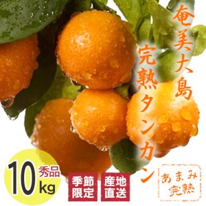 ご予約受付中！ 完熟たんかん | リピート率No.1の奄美大島完熟たんかん 