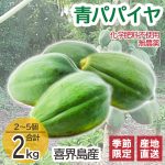 喜界島産青パパイヤ ソムタム ダイエットにも最適！ 2kg (2〜5個
