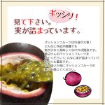 item146