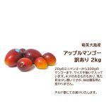 item156
