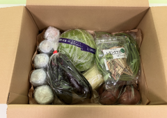野菜・加工品の詰め合わせセット