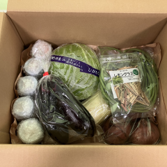 野菜・加工品の詰め合わせセット