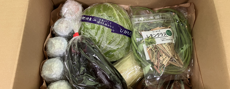 野菜・加工品の詰め合わせセット