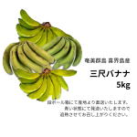 item165