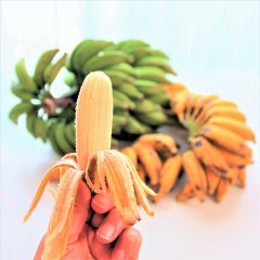 「国産バナナ」が甘くて美味しい理由。スーパーでは買えない！奄美の自然が育てた“あまさんバナナ”の秘密