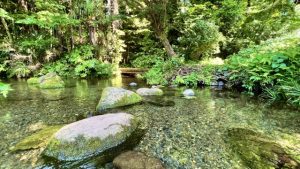 東久留米の南沢湧水群