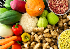 毎日の食卓に、自然のやさしさを──化学肥料・農薬を使わない野菜の魅力