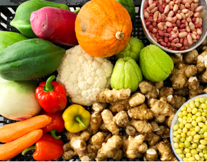 農薬や化学肥料を使わずに育てた色とりどりの野菜