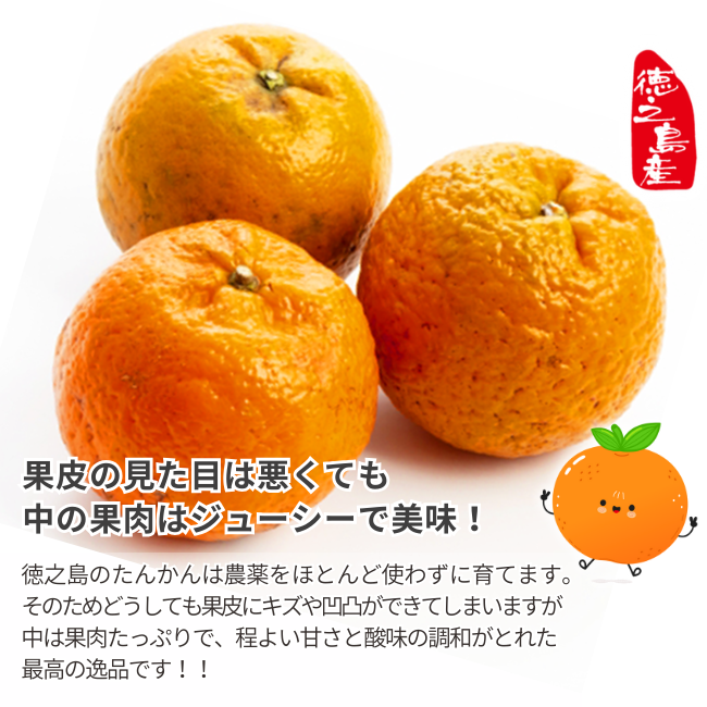 たんかん 5kg 奄美徳之島産タンカン ご家庭用 【2026年2月中旬〜3月