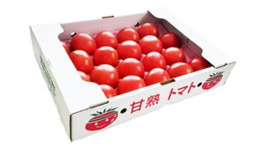ずっしり重い、4㎏の甘熟トマト