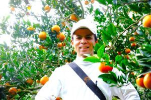【奄美大島】児玉柑橘園の児玉さん。木の生命力を信じ、消費者のことを思う、それが児玉流のたんかん作り。