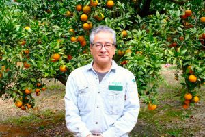 【徳之島】朝川果樹園の朝川さん。夏の暑い時期から丁寧に剪定を行い、2月の収穫を心待ちにしています。