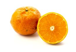 南国の「隠れた宝石」タンカン。あなたは〝すっきり派〟？ それとも〝濃厚派〟？