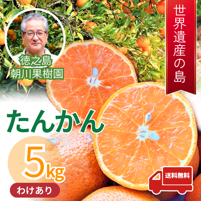 訳ありたんかん 5kg 奄美徳之島産タンカン ご家庭用 【2026年2月中旬
