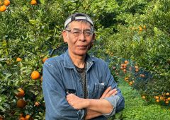 初登場！喜界島から届くミネラルたっぷりの『タンカン』