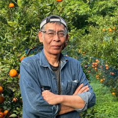 初登場！喜界島から届くミネラルたっぷりの『タンカン』