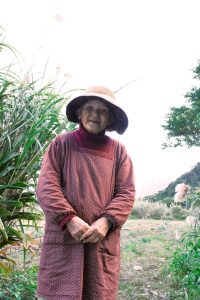 奄美のウコン栽培第一人者、奄美自然科学研究所の山田久美子さん